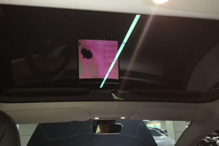 Used Tesla Model 3 2022 Rear-Wheel-Drive Version Headliner
