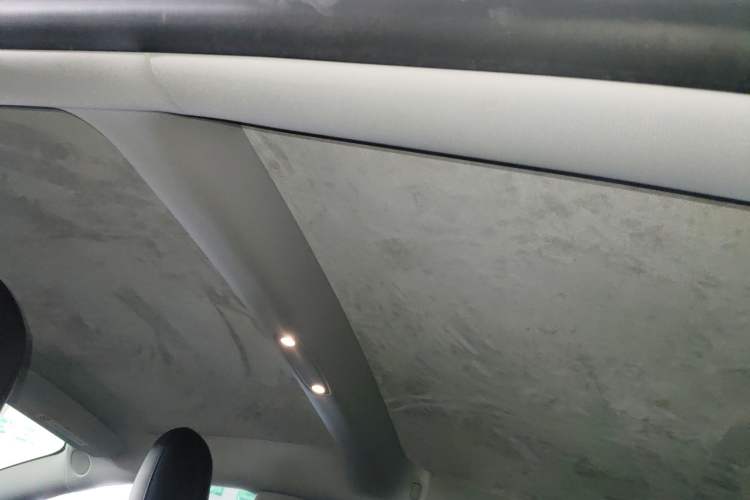 Used Tesla Model 3 2022 Rear-Wheel-Drive Version Headliner