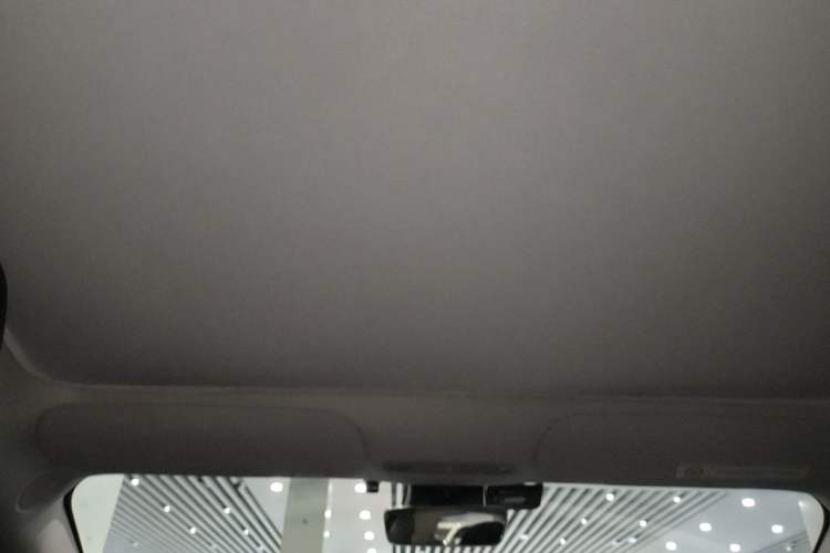 Used Tesla Model 3 2022 Rear-Wheel-Drive Version Headliner
