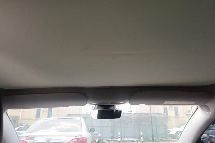 Used Tesla Model 3 2022 Rear-Wheel-Drive Version Headliner