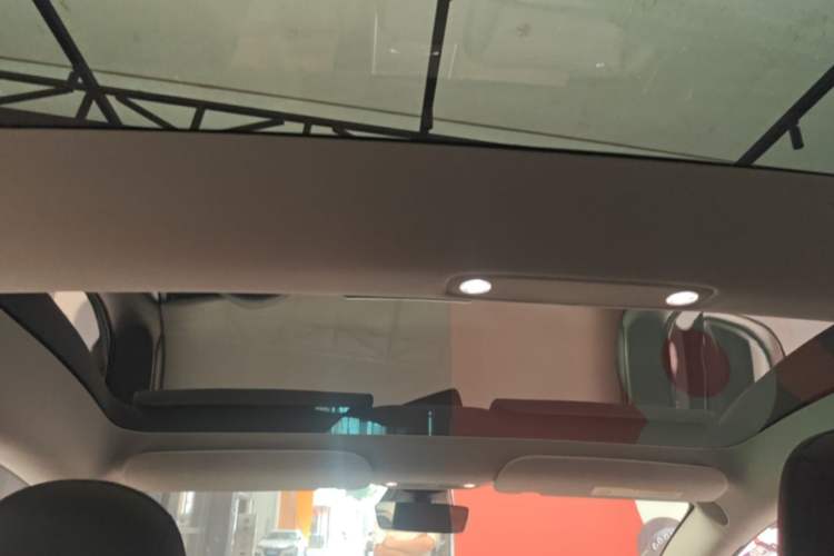 Used Tesla Model 3 2022 Rear-Wheel-Drive Version Headliner