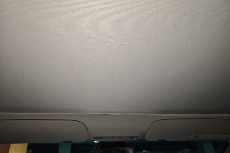 Used Tesla Model 3 2022 Rear-Wheel-Drive Version Headliner