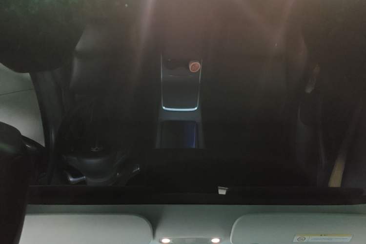 Used Tesla Model 3 2022 Rear-Wheel-Drive Version Headliner