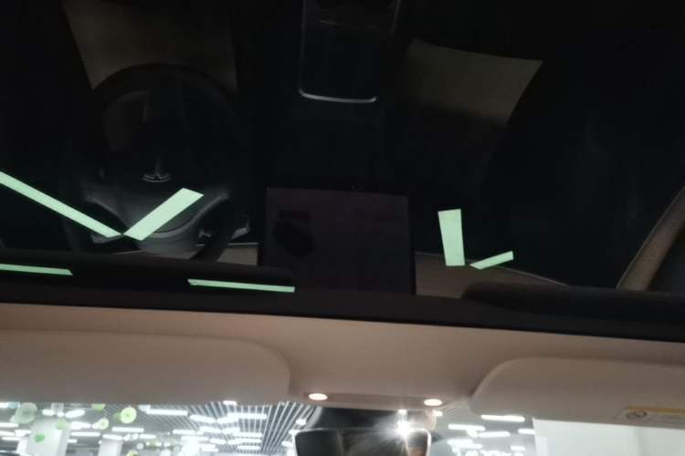 Used Tesla Model 3 2022 Rear-Wheel-Drive Version Headliner