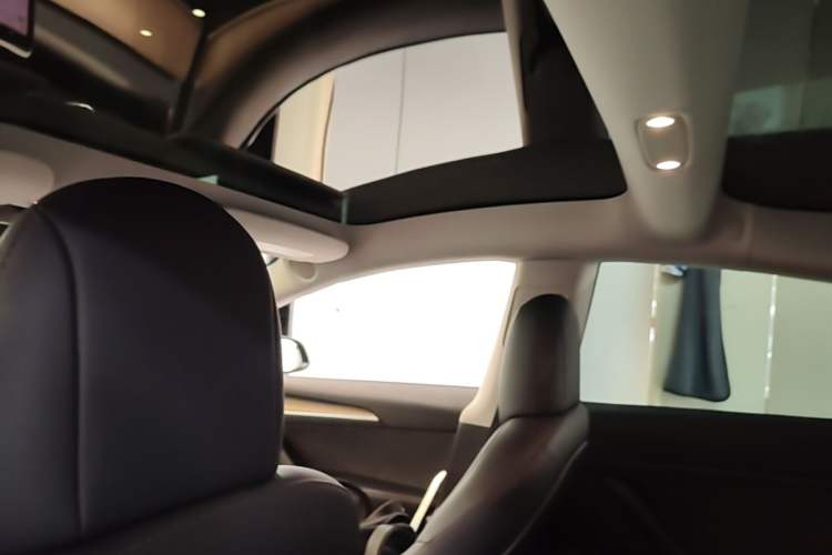 Used Tesla Model 3 2022 Rear-Wheel-Drive Version Headliner