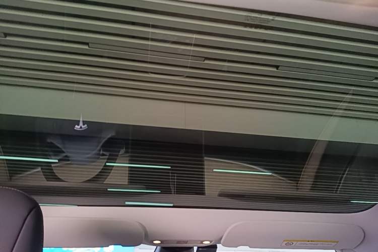 Used Tesla Model 3 2022 Rear-Wheel-Drive Version Headliner