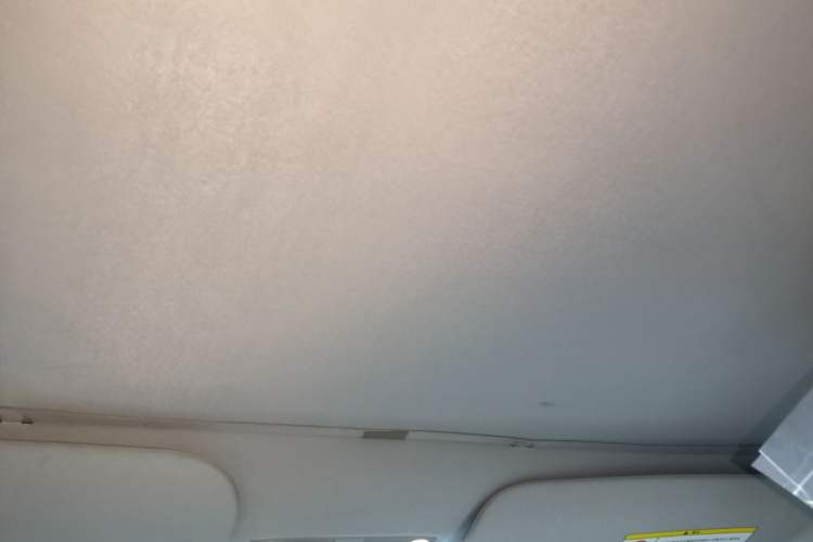 Used Tesla Model 3 2022 Rear-Wheel-Drive Version Headliner