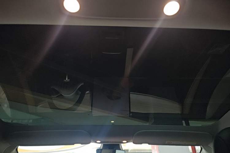Used Tesla Model 3 2022 Rear-Wheel-Drive Version Headliner