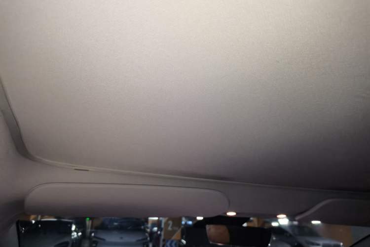 Used Tesla Model 3 2022 Rear-Wheel-Drive Version Headliner