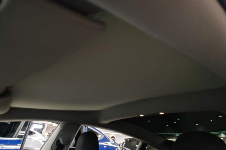 Used Tesla Model 3 2022 Rear-Wheel-Drive Version Headliner