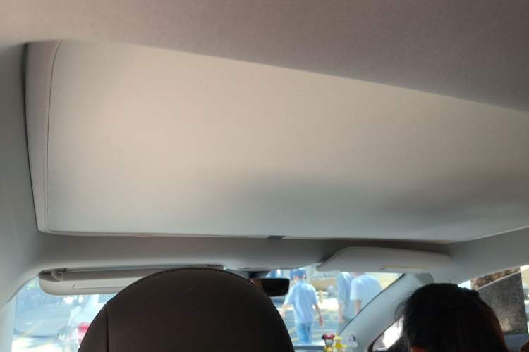 Used Tesla Model 3 2022 Rear-Wheel-Drive Version Headliner