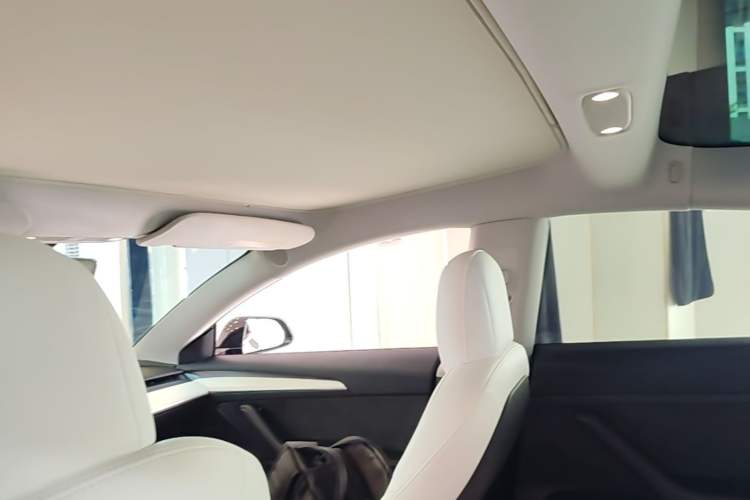 Used Tesla Model 3 2022 Rear-Wheel-Drive Version Headliner