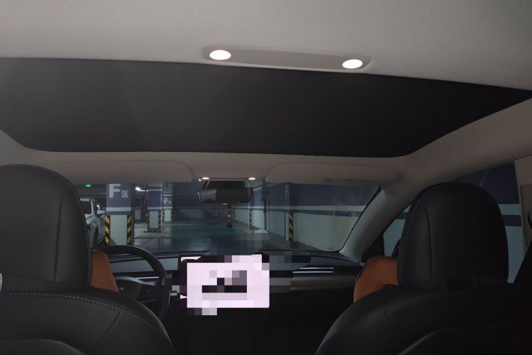 Used Tesla Model 3 2022 Rear-Wheel-Drive Version Headliner