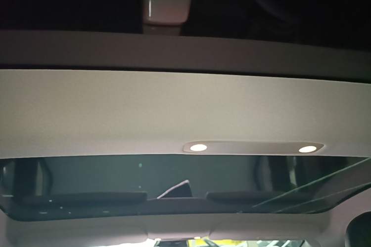 Used Tesla Model 3 2022 Rear-Wheel-Drive Version Headliner