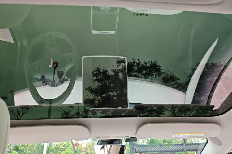 Used Tesla Model 3 2022 Rear-Wheel-Drive Version Headliner