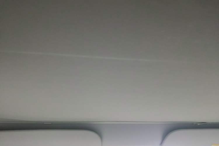 Used Tesla Model 3 2022 Rear-Wheel-Drive Version Headliner