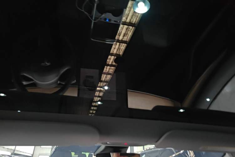 Used Tesla Model 3 2022 Rear-Wheel-Drive Version Headliner