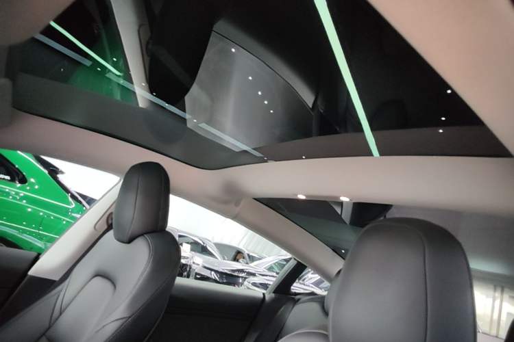 Used Tesla Model 3 2022 Performance High-Performance All-Wheel-Drive Version Headliner