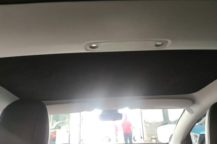 Used Tesla Model 3 2022 Rear-Wheel-Drive Version Headliner
