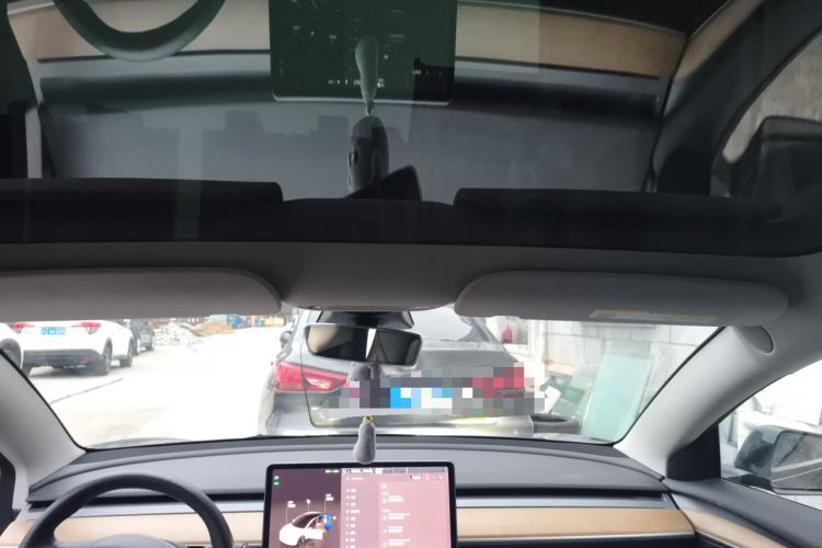 Used Tesla Model 3 2022 Rear-Wheel-Drive Version Headliner