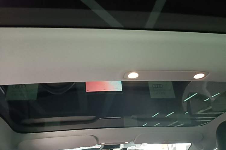 Used Tesla Model 3 2022 Rear-Wheel-Drive Version Headliner