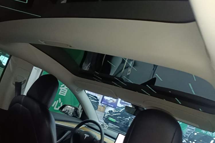 Used Tesla Model 3 2022 Rear-Wheel-Drive Version Headliner