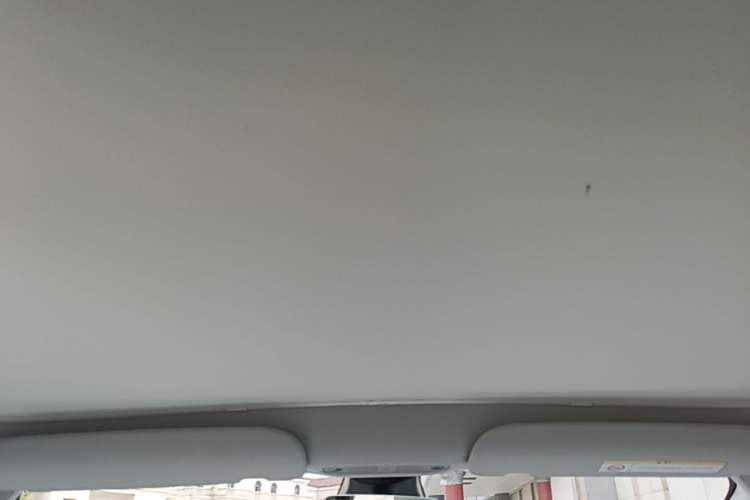 Used Tesla Model 3 2022 Rear-Wheel-Drive Version Headliner
