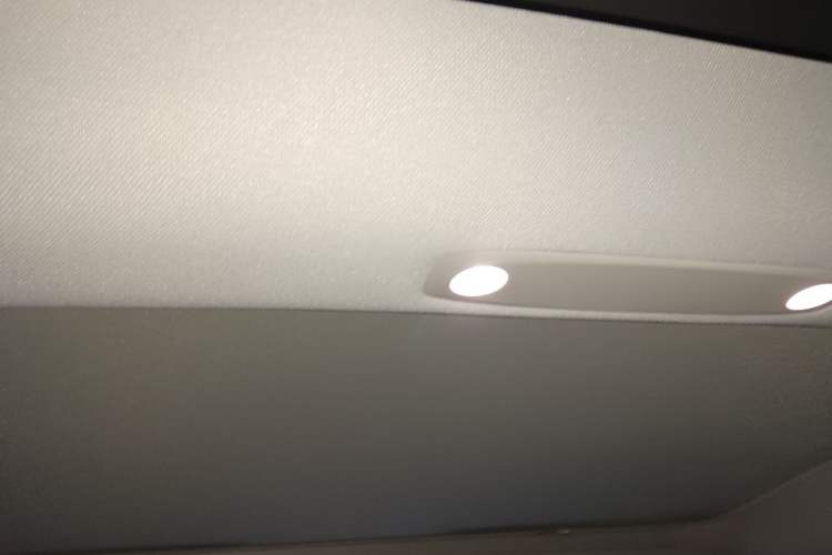 Used Tesla Model 3 2022 Rear-Wheel-Drive Version Headliner