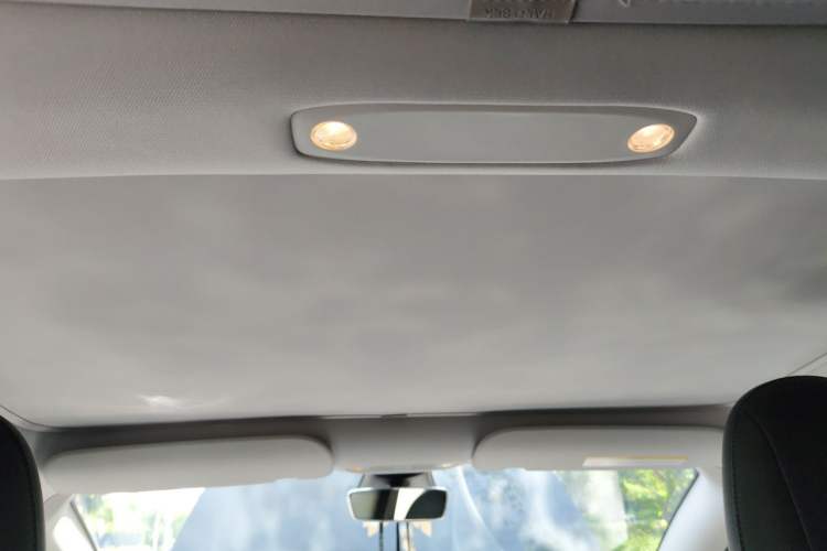 Used Tesla Model 3 2022 Rear-Wheel-Drive Version Headliner