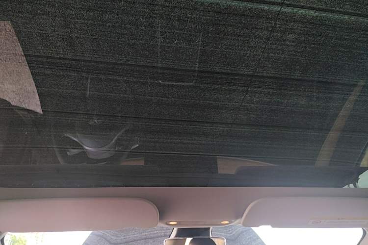 Used Tesla Model 3 2022 Rear-Wheel-Drive Version Headliner