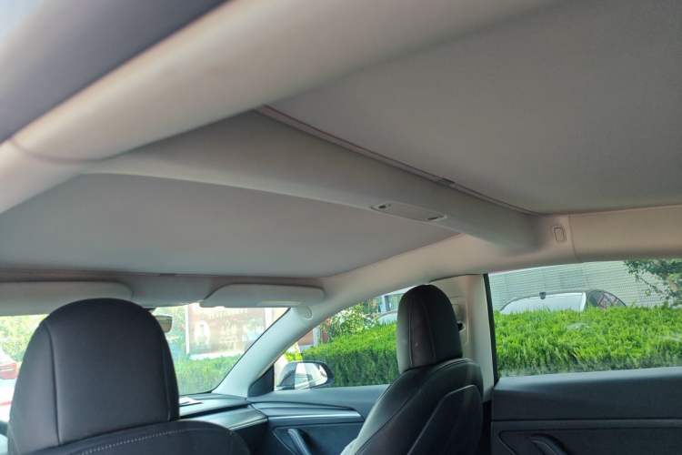 Used Tesla Model 3 2022 Rear-Wheel-Drive Version Headliner