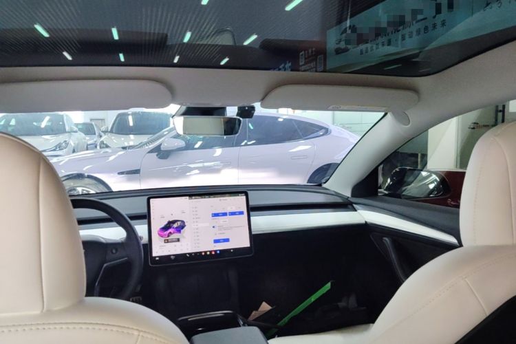 Used Tesla Model 3 2022 Performance High-Performance All-Wheel-Drive Version Headliner