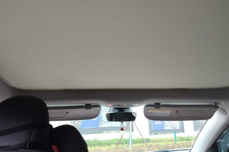 Used Tesla Model 3 2022 Rear-Wheel-Drive Version Headliner