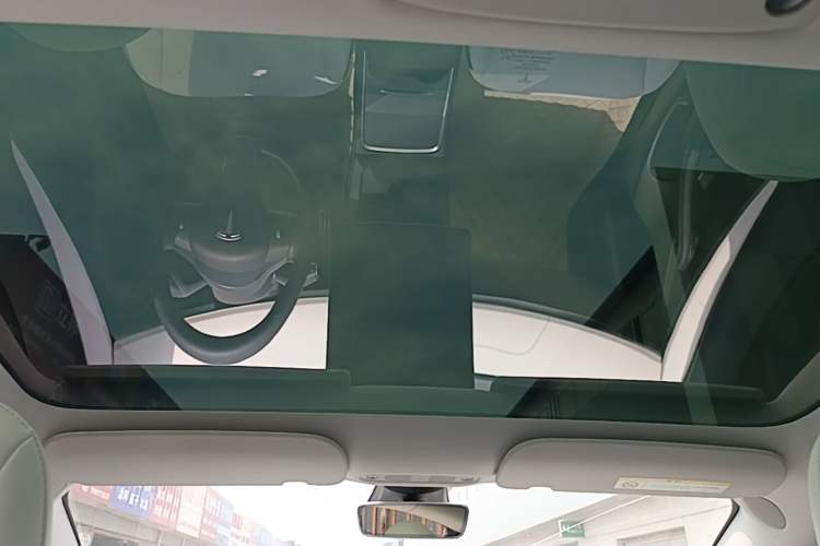 Used Tesla Model 3 2022 Performance High-Performance All-Wheel-Drive Version Headliner