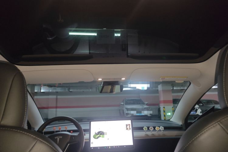 Used Tesla Model 3 2022 Rear-Wheel-Drive Version Headliner