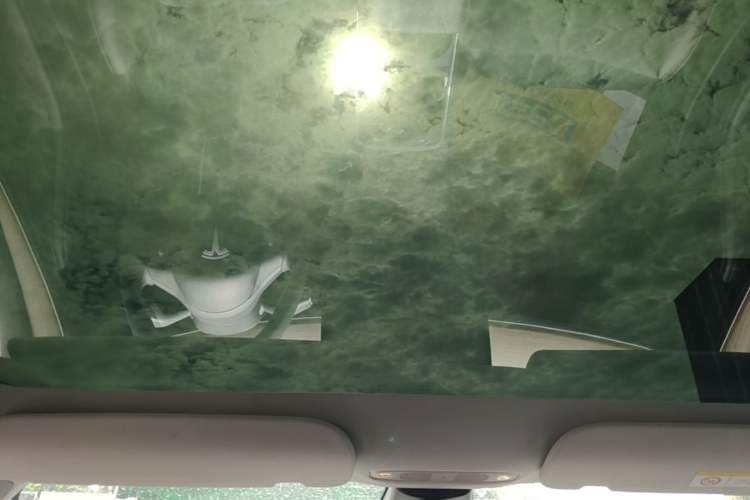 Used Tesla Model 3 2022 Rear-Wheel-Drive Version Headliner