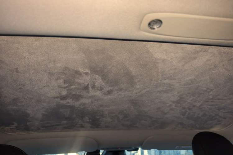 Used Tesla Model 3 2022 Rear-Wheel-Drive Version Headliner
