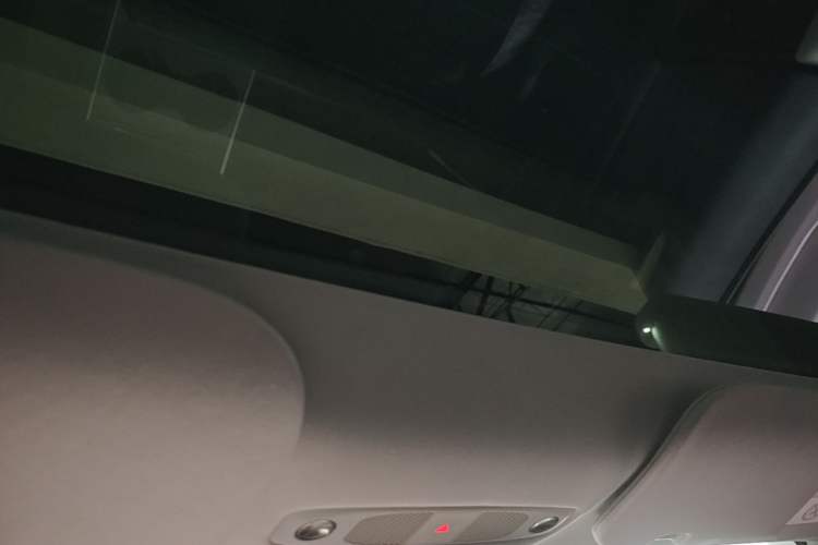 Used Tesla Model 3 2022 Rear-Wheel-Drive Version Headliner