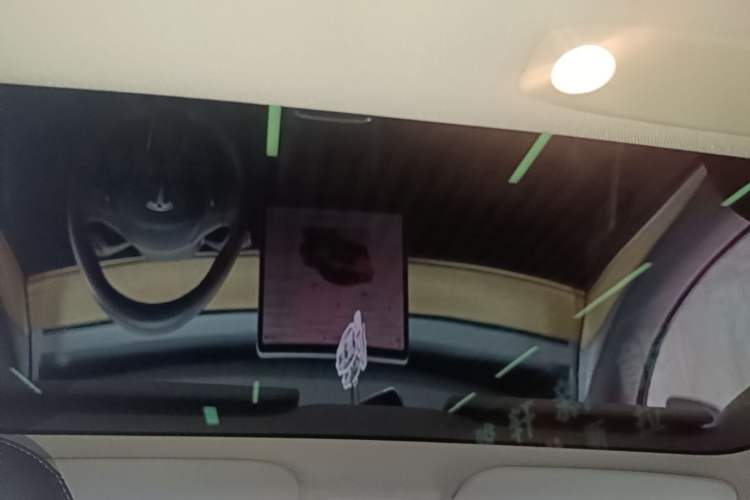 Used Tesla Model 3 2022 Rear-Wheel-Drive Version Headliner