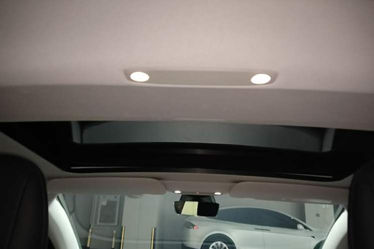 Used Tesla Model 3 2022 Rear-Wheel-Drive Version Headliner