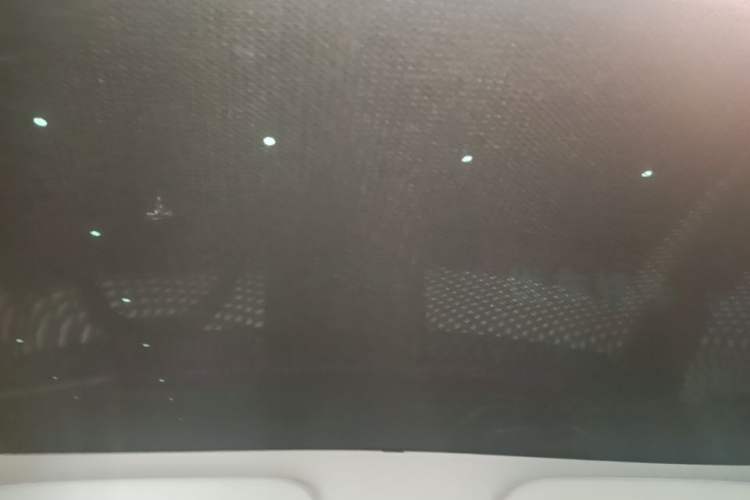 Used Tesla Model 3 2022 Rear-Wheel-Drive Version Headliner