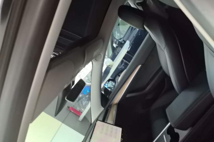 Used Tesla Model 3 2022 Performance High-Performance All-Wheel-Drive Version Headliner