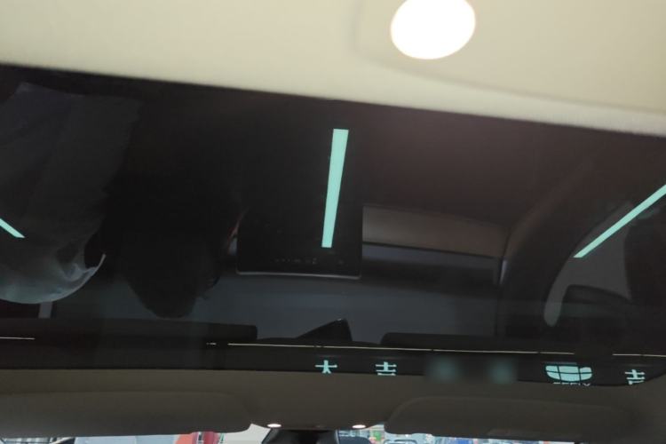 Used Tesla Model 3 2022 Rear-Wheel-Drive Version Headliner