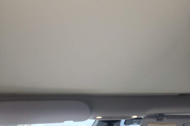 Used Tesla Model 3 2022 Rear-Wheel-Drive Version Headliner
