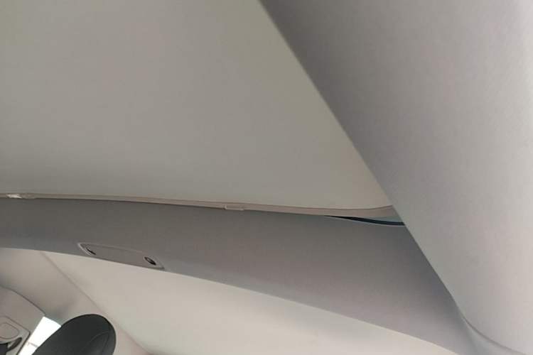 Used Tesla Model 3 2022 Rear-Wheel-Drive Version Headliner