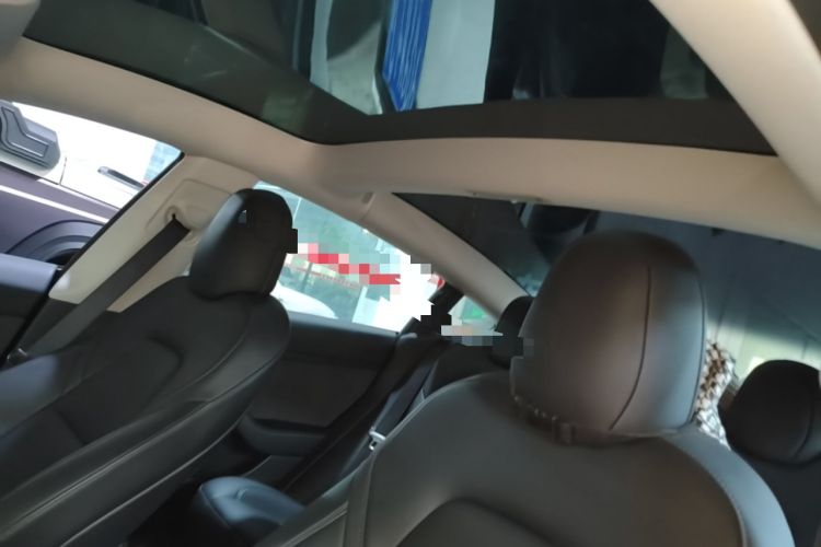 Used Tesla Model 3 2022 Rear-Wheel-Drive Version Headliner