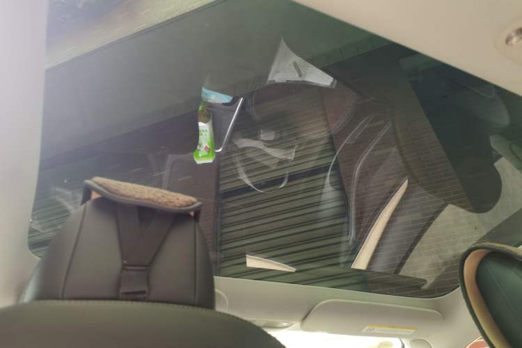 Used Tesla Model 3 2022 Rear-Wheel-Drive Version Headliner