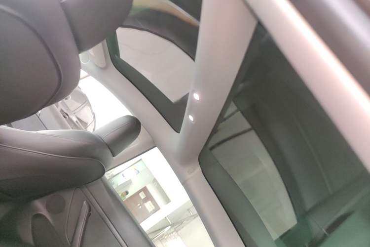 Used Tesla Model 3 2022 Rear-Wheel-Drive Version Headliner