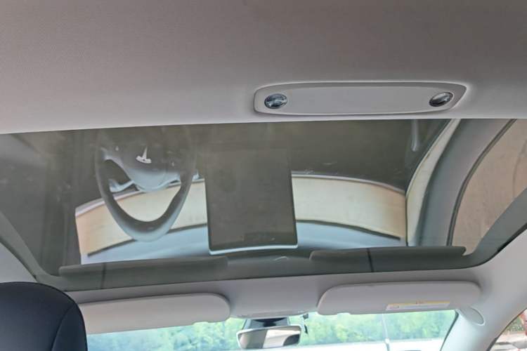 Used Tesla Model 3 2022 Rear-Wheel-Drive Version Headliner