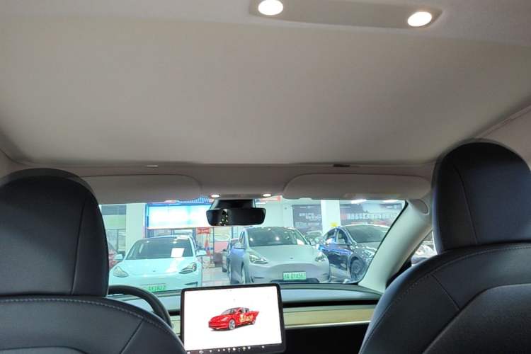 Used Tesla Model 3 2022 Rear-Wheel-Drive Version Headliner
